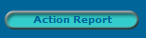 Action Report